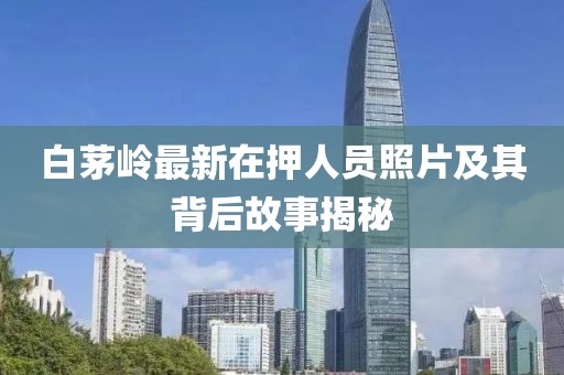 白茅岭最新在押人员照片及其背后故事揭秘
