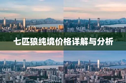 七匹狼纯境价格详解与分析