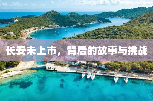 长安未上市，背后的故事与挑战