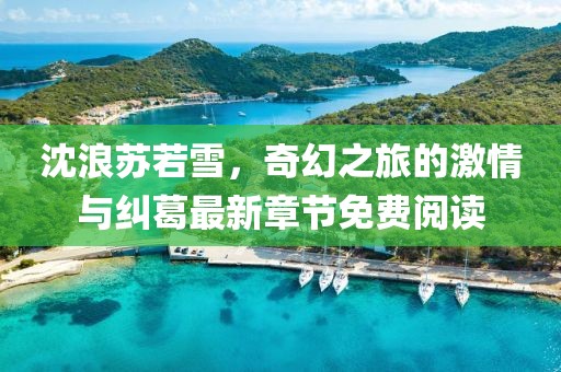 沈浪苏若雪，奇幻之旅的激情与纠葛最新章节免费阅读