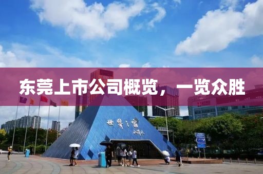 东莞上市公司概览，一览众胜