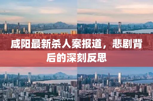 咸阳最新杀人案报道，悲剧背后的深刻反思