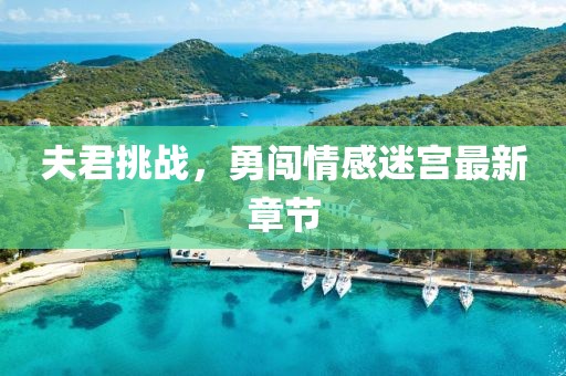 夫君挑战，勇闯情感迷宫最新章节