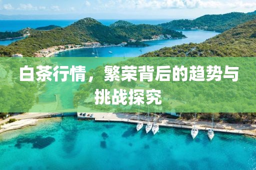白茶行情，繁荣背后的趋势与挑战探究
