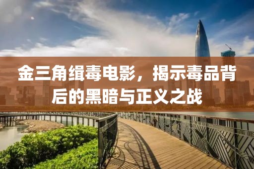 金三角缉毒电影，揭示毒品背后的黑暗与正义之战