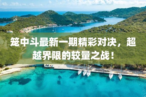 笼中斗最新一期精彩对决，超越界限的较量之战！