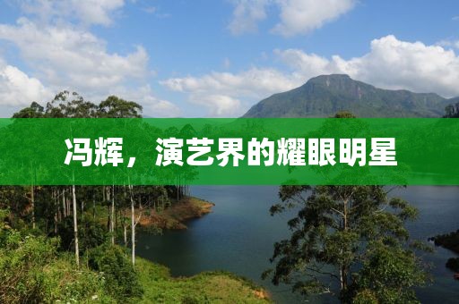 冯辉，演艺界的耀眼明星