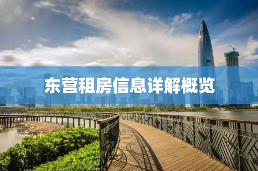 东营租房信息详解概览