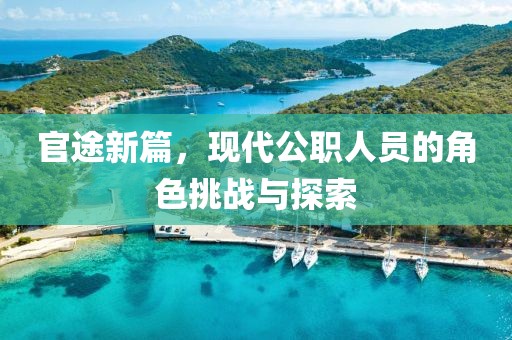官途新篇，现代公职人员的角色挑战与探索