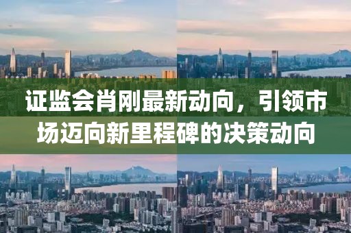 证监会肖刚最新动向，引领市场迈向新里程碑的决策动向