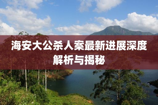 海安大公杀人案最新进展深度解析与揭秘