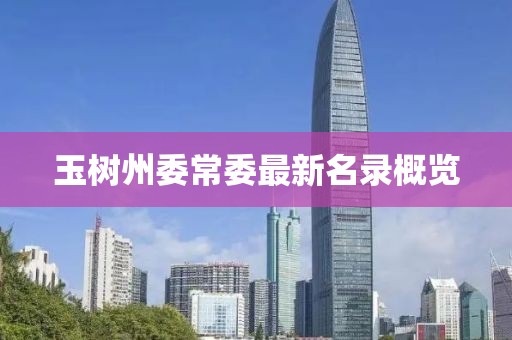 玉树州委常委最新名录概览