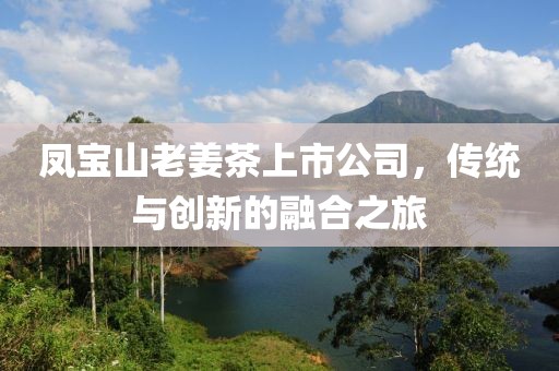 凤宝山老姜茶上市公司，传统与创新的融合之旅