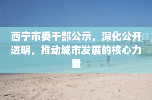 西宁市委干部公示，深化公开透明，推动城市发展的核心力量