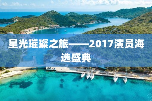 星光璀璨之旅——2017演员海选盛典