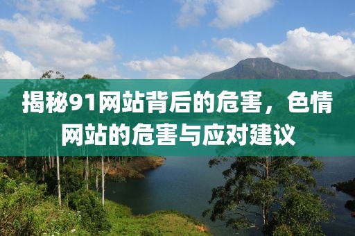 揭秘91网站背后的危害，色情网站的危害与应对建议