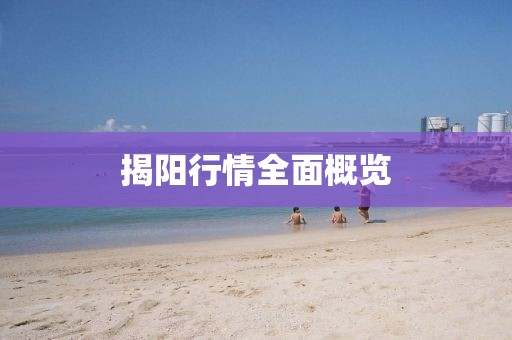 揭阳行情全面概览