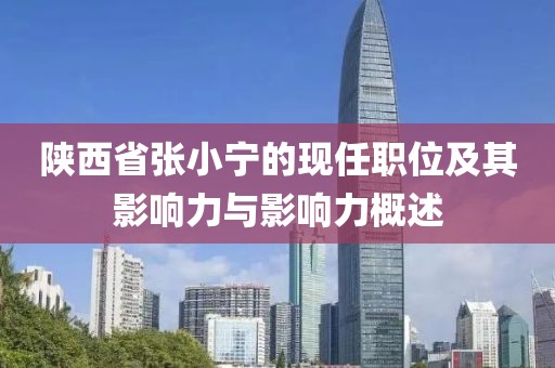 陕西省张小宁的现任职位及其影响力与影响力概述