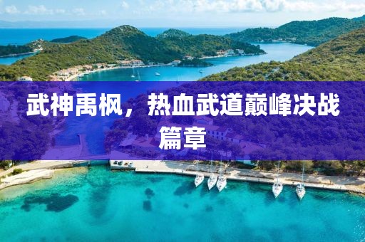 武神禹枫，热血武道巅峰决战篇章