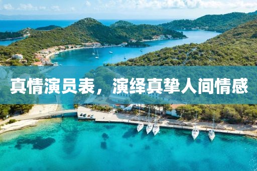 真情演员表，演绎真挚人间情感