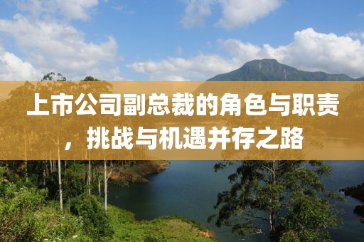 上市公司副总裁的角色与职责，挑战与机遇并存之路