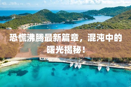 恐慌沸腾最新篇章，混沌中的曙光揭秘！