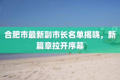 合肥市最新副市长名单揭晓，新篇章拉开序幕