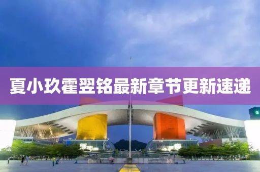 夏小玖霍翌铭最新章节更新速递