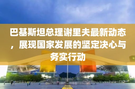 巴基斯坦总理谢里夫最新动态，展现国家发展的坚定决心与务实行动