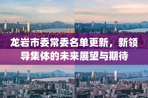 龙岩市委常委名单更新，新领导集体的未来展望与期待