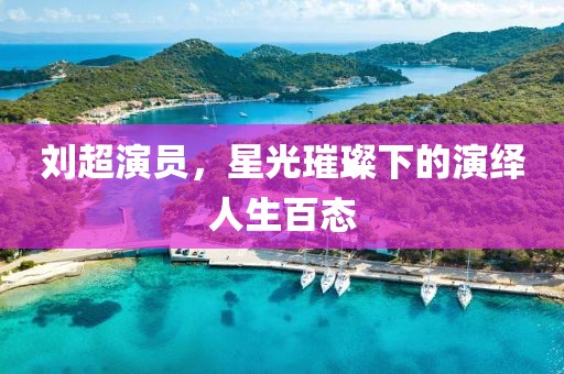 刘超演员，星光璀璨下的演绎人生百态