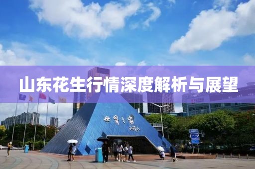 山东花生行情深度解析与展望