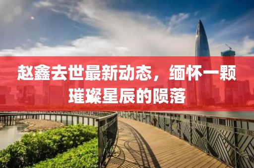赵鑫去世最新动态，缅怀一颗璀璨星辰的陨落
