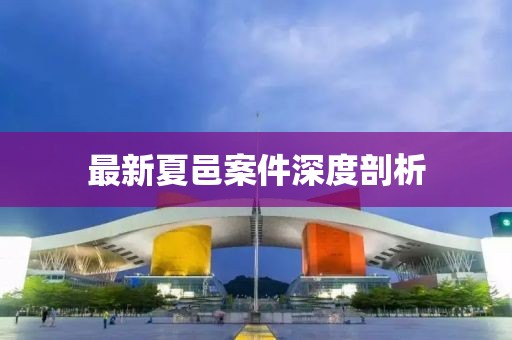 最新夏邑案件深度剖析