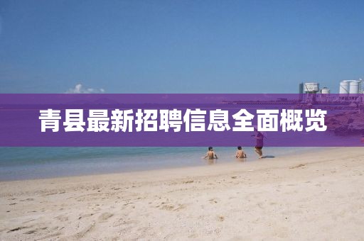 青县最新招聘信息全面概览
