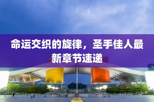 命运交织的旋律，圣手佳人最新章节速递