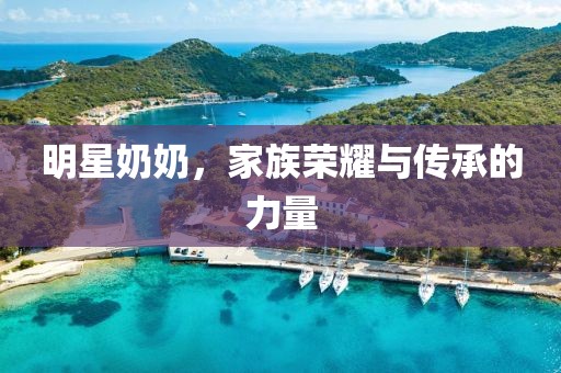 明星奶奶，家族荣耀与传承的力量