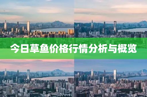 今日草鱼价格行情分析与概览