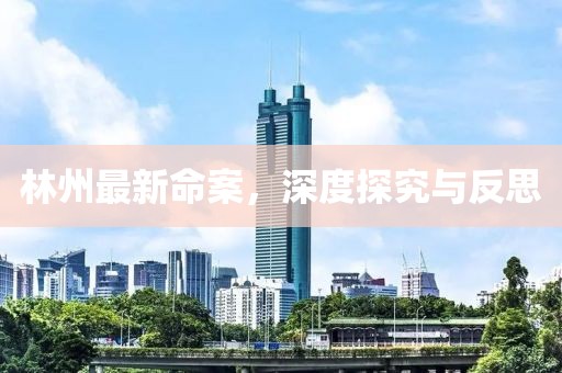 林州最新命案，深度探究与反思