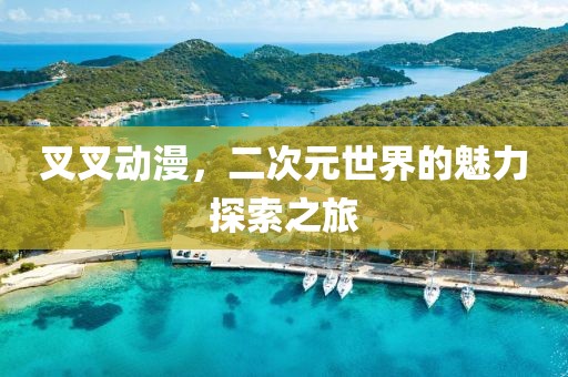 叉叉动漫，二次元世界的魅力探索之旅
