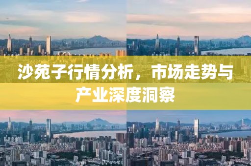 沙苑子行情分析，市场走势与产业深度洞察