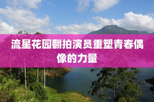 流星花园翻拍演员重塑青春偶像的力量