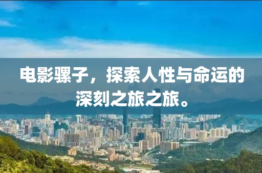 电影骡子，探索人性与命运的深刻之旅之旅。