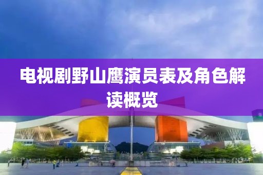 电视剧野山鹰演员表及角色解读概览