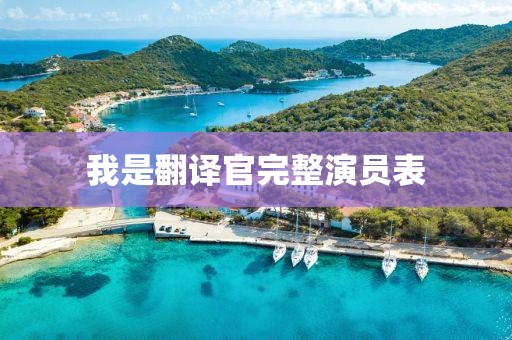 我是翻译官完整演员表