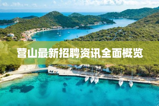 营山最新招聘资讯全面概览