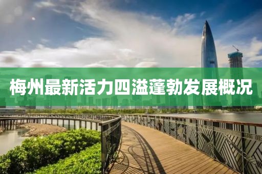 梅州最新活力四溢蓬勃发展概况