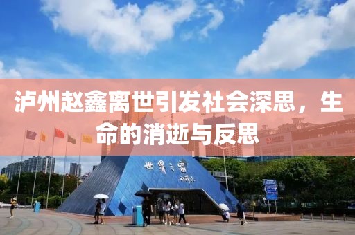 泸州赵鑫离世引发社会深思，生命的消逝与反思