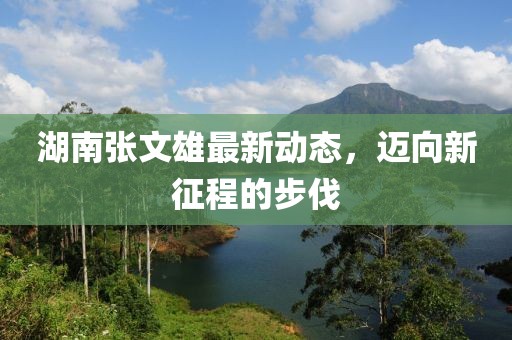 湖南张文雄最新动态，迈向新征程的步伐