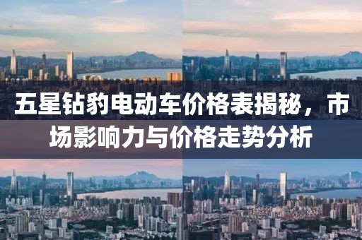 五星钻豹电动车价格表揭秘，市场影响力与价格走势分析